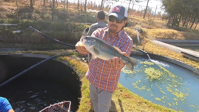 Captura de pantalla (740).png